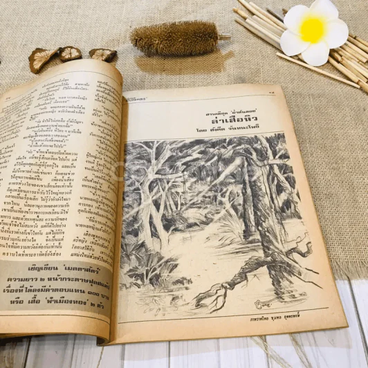 ฟ้าเมืองทอง ฉบับที่ 74 พ.ค.2525 รูปที่ 19