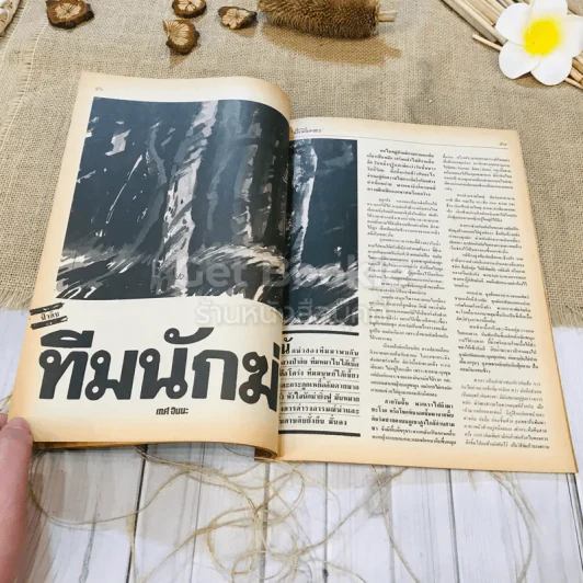 ฟ้าเมืองทอง ฉบับที่ 98 พ.ค.2527 รูปที่ 22