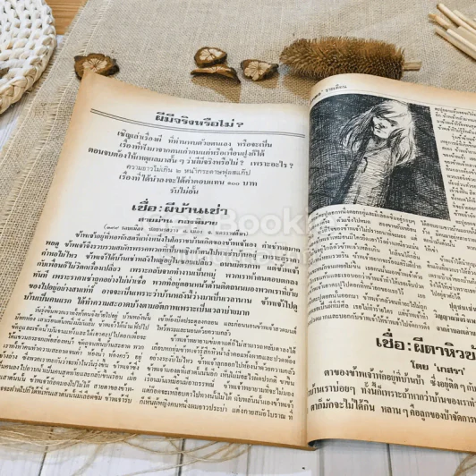 ฟ้าเมืองทอง ฉบับที่ 44 พ.ย.2522 รูปที่ 40