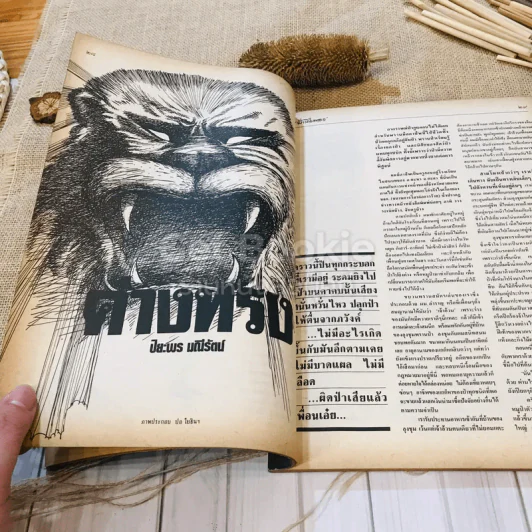 ฟ้าเมืองทอง ฉบับที่ 102 ก.ย.2527 รูปที่ 15