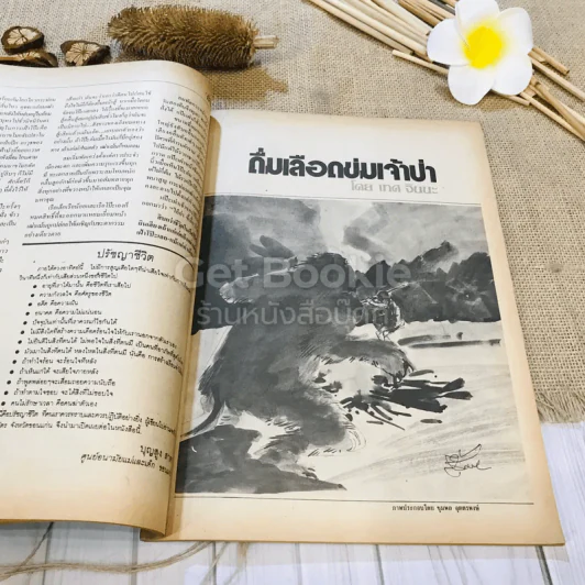 ฟ้าเมืองทอง ฉบับที่ 88 ก.ค.2526 รูปที่ 19