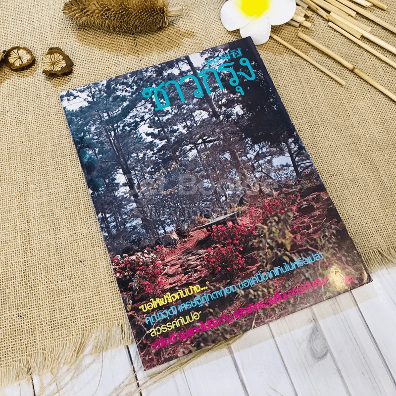 ชาวกรุง ปีที่ 29 ฉบับที่ 6 มี.ค.2523 รูปที่ 1