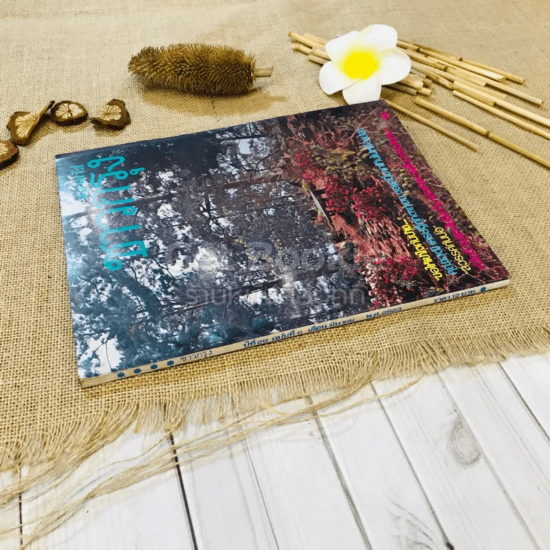 ชาวกรุง ปีที่ 29 ฉบับที่ 6 มี.ค.2523 รูปที่ 2