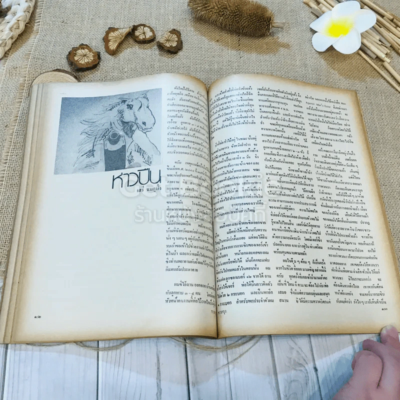 ชาวกรุง ปีที่ 29 ฉบับที่ 3 ธ.ค.2522 รูปที่ 9