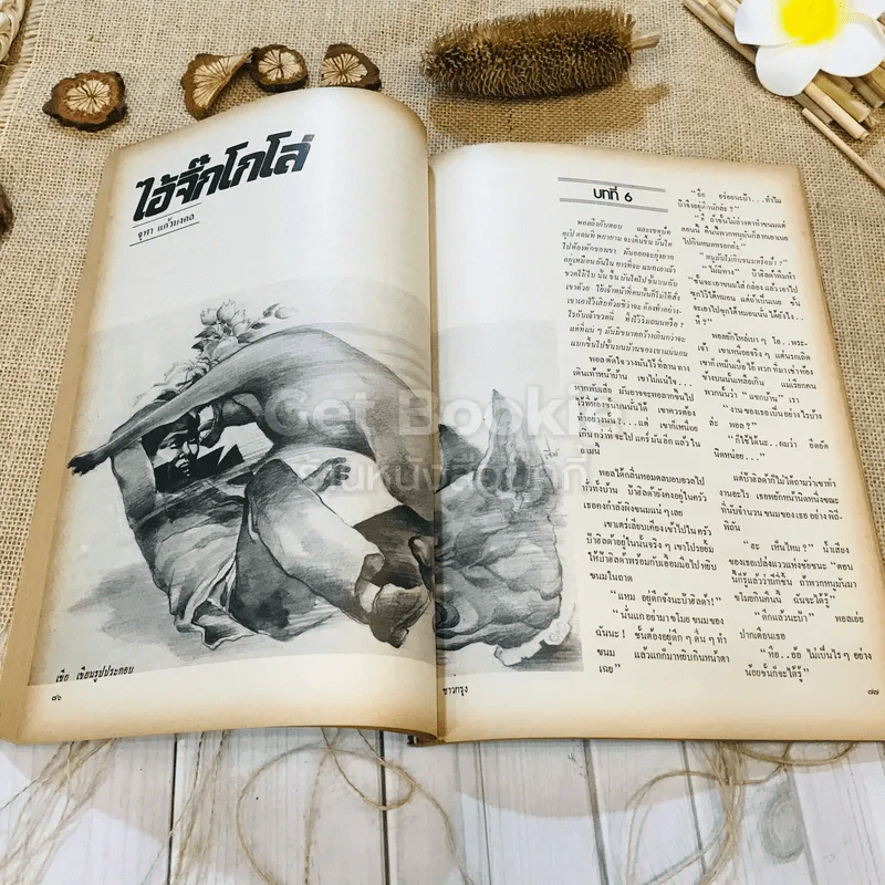 ชาวกรุง ปีที่ 29 ฉบับที่ 5 ก.พ.2523 รูปที่ 8