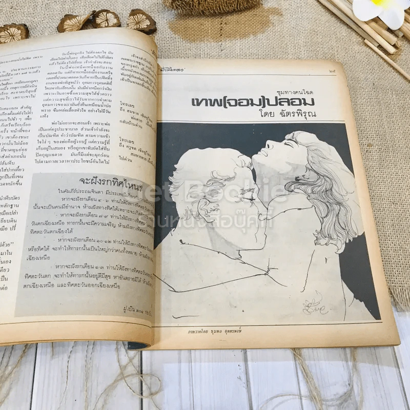 ฟ้าเมืองทอง ฉบับที่ 79 ต.ค.2525 รูปที่ 10