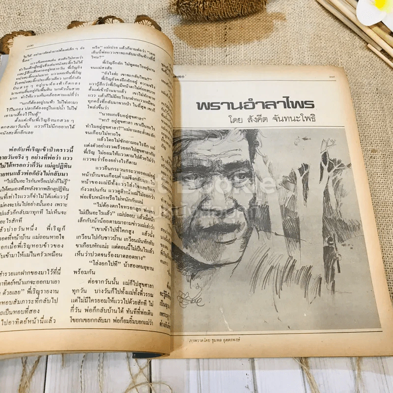 ฟ้าเมืองทอง ฉบับที่ 79 ต.ค.2525 รูปที่ 20