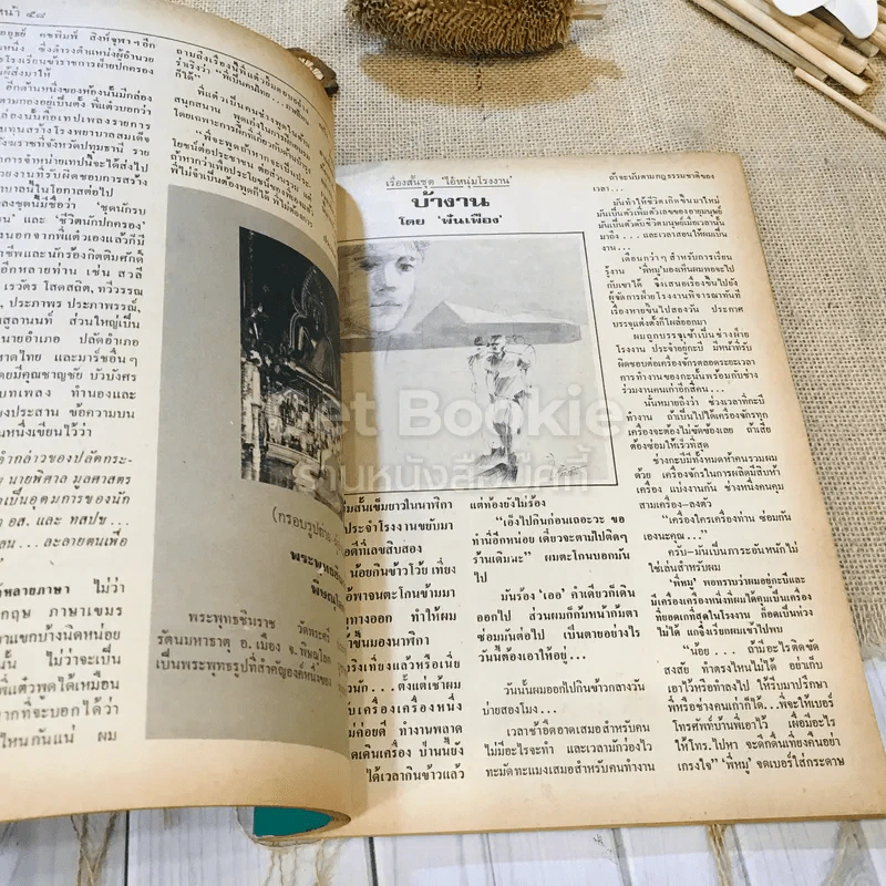 ฟ้าเมืองทอง ฉบับที่ 73 เม.ย.2525 รูปที่ 15