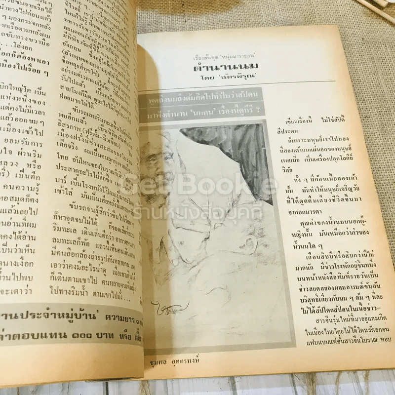 ฟ้าเมืองทอง ฉบับที่ 66 ก.ย.2524 รูปที่ 12