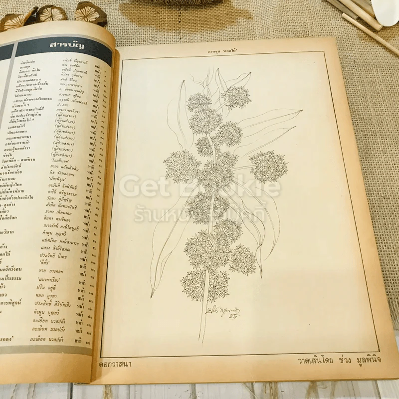 ฟ้าเมืองทอง ฉบับที่ 66 ก.ย.2524 รูปที่ 7
