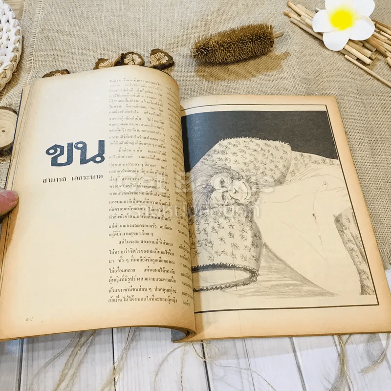 ชาวกรุง ปีที่ 28 ฉบับที่ 7 เม.ย.2522 รูปที่ 9