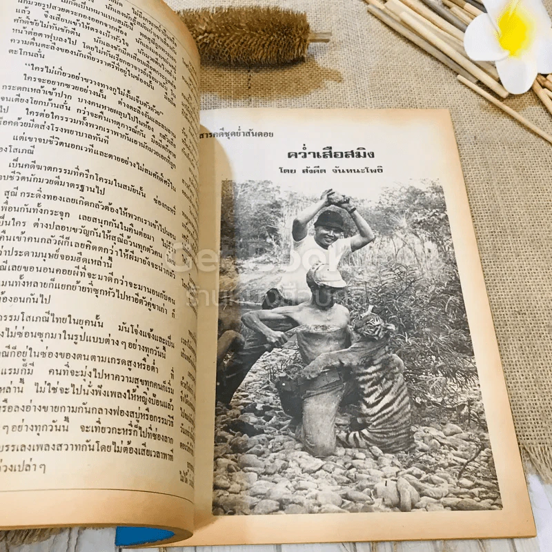 ฟ้าเมืองทอง ฉบับที่ 13 เม.ย.2520 รูปที่ 18