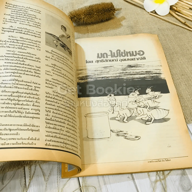 ฟ้าเมืองทอง ฉบับที่ 93 ธ.ต.2526 รูปที่ 18