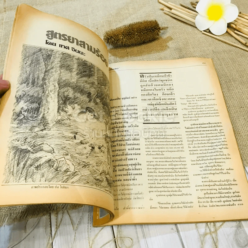 ฟ้าเมืองทอง ฉบับที่ 93 ธ.ต.2526 รูปที่ 14