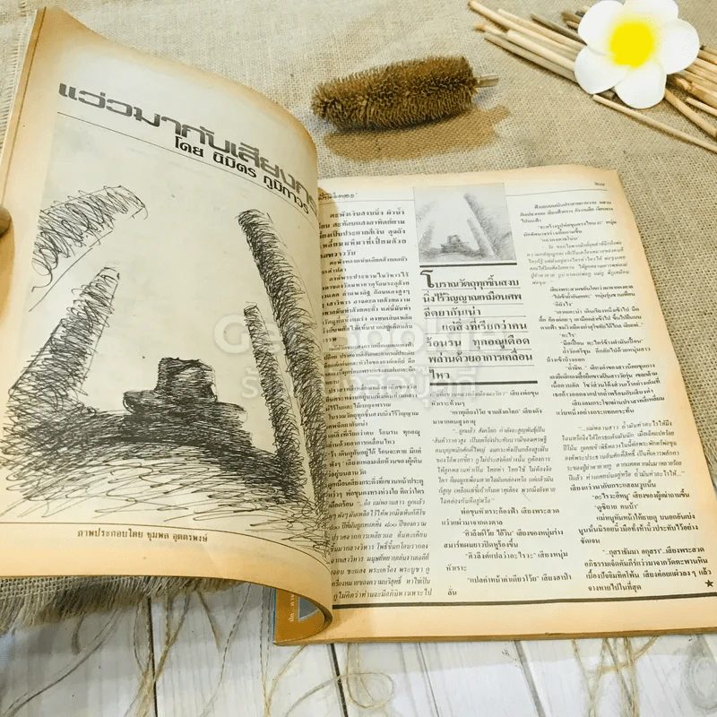 ฟ้าเมืองทอง ฉบับที่ 93 ธ.ต.2526 รูปที่ 22