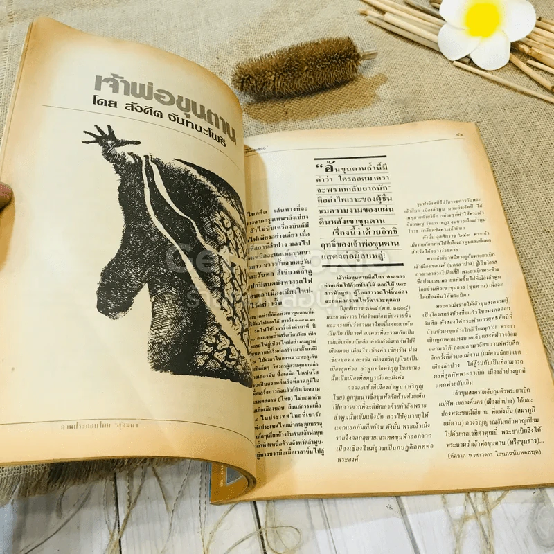 ฟ้าเมืองทอง ฉบับที่ 93 ธ.ต.2526 รูปที่ 15