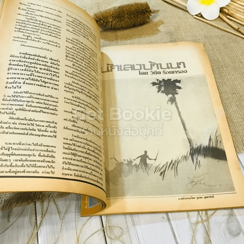 ฟ้าเมืองทอง ฉบับที่ 93 ธ.ต.2526 รูปที่ 17