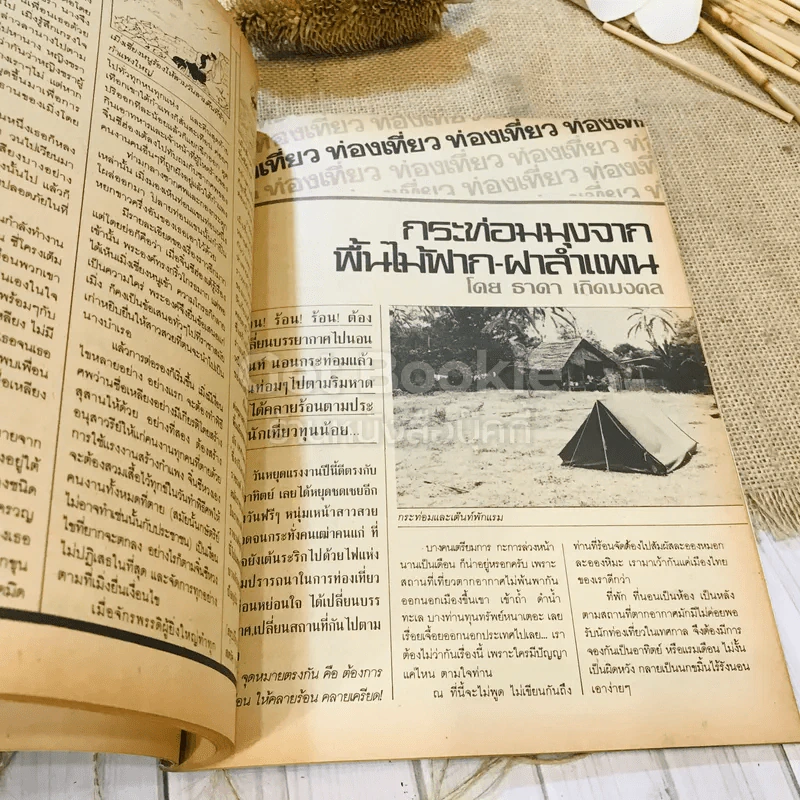 ฟ้าเมืองทอง ฉบับที่ 87 มิ.ย.2526 รูปที่ 13
