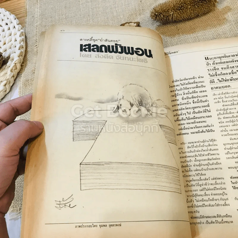 ฟ้าเมืองทอง ฉบับที่ 87 มิ.ย.2526 รูปที่ 21