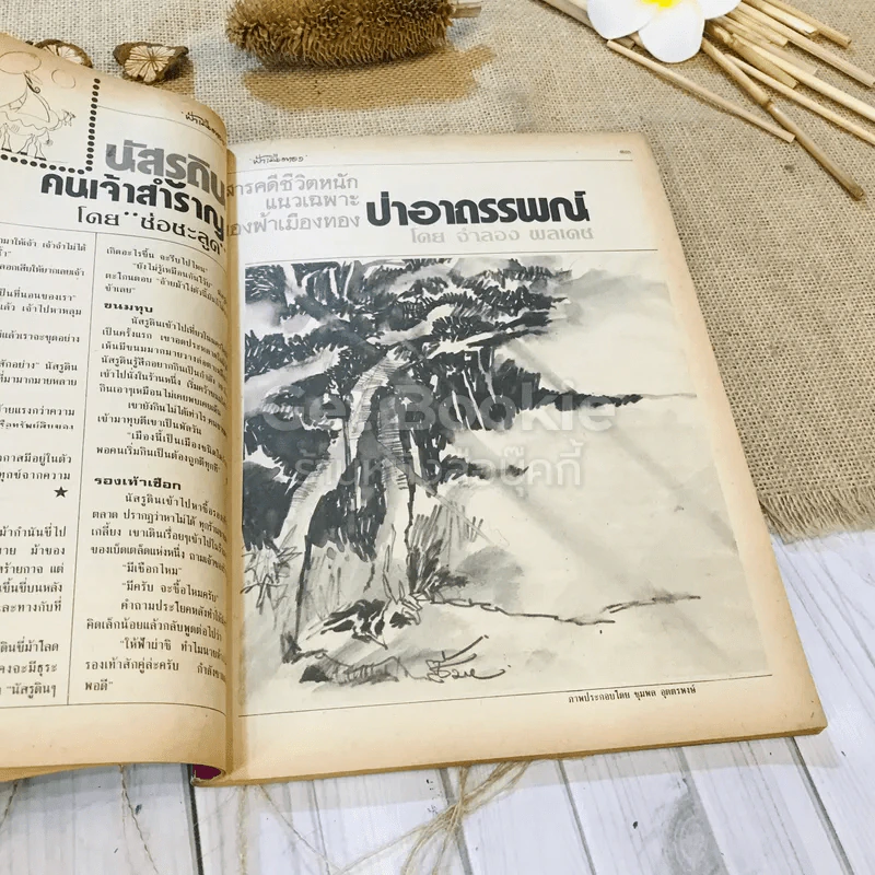 ฟ้าเมืองทอง ฉบับที่ 87 มิ.ย.2526 รูปที่ 27
