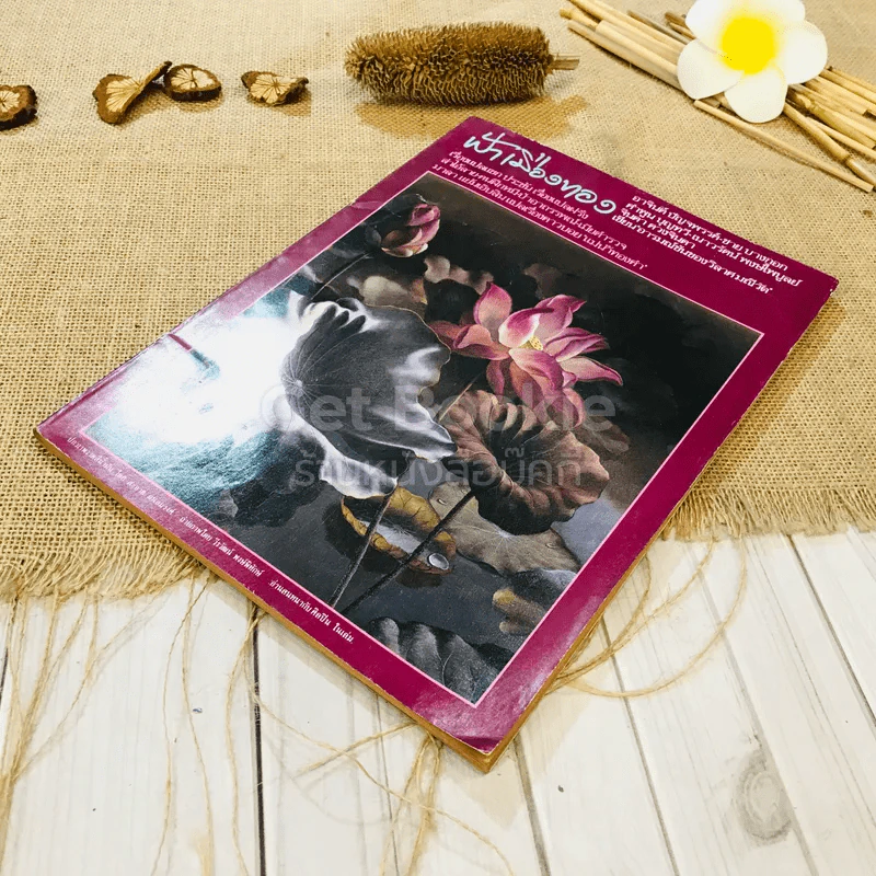 ฟ้าเมืองทอง ฉบับที่ 87 มิ.ย.2526 รูปที่ 4