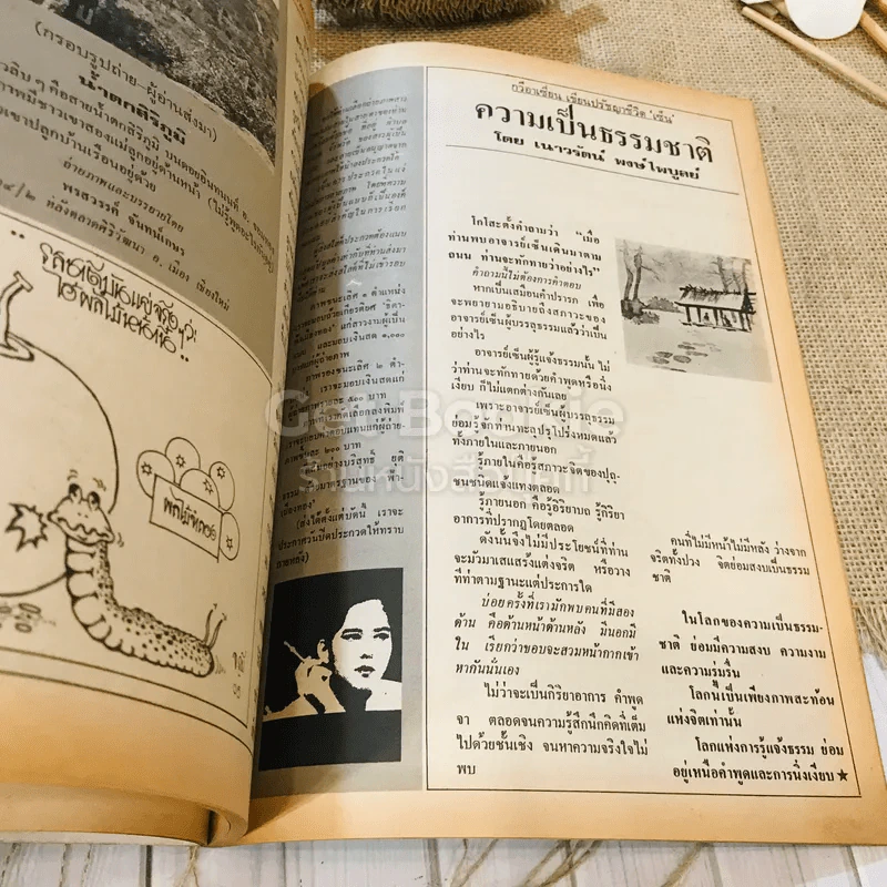 ฟ้าเมืองทอง ฉบับที่ 70 ม.ค.2525 รูปที่ 16