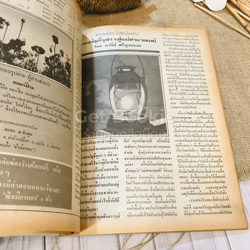 ฟ้าเมืองทอง ฉบับที่ 70 ม.ค.2525 รูปที่ 23