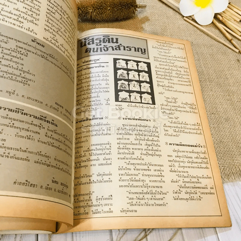 ฟ้าเมืองทอง ฉบับที่ 70 ม.ค.2525 รูปที่ 13
