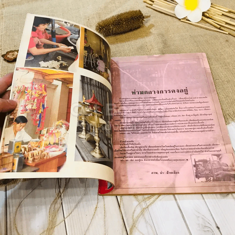 ฟ้าเมืองทอง ฉบับที่ 100 ก.ค.2527 รูปที่ 7