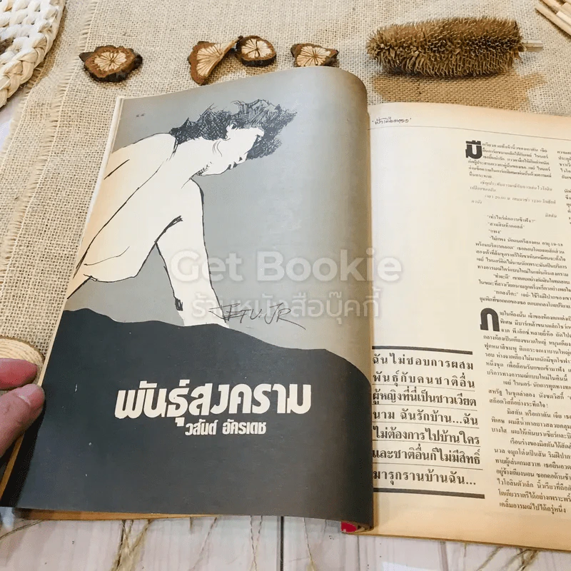 ฟ้าเมืองทอง ฉบับที่ 100 ก.ค.2527 รูปที่ 17