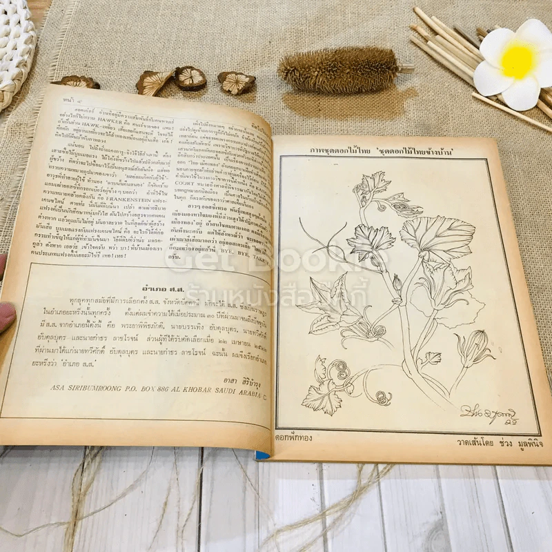 ฟ้าเมืองทอง ฉบับที่ 40 ก.ค.2522 รูปที่ 7