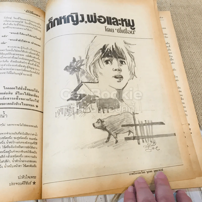ฟ้าเมืองทอง ฉบับที่ 89 ส.ค.2526 รูปที่ 19