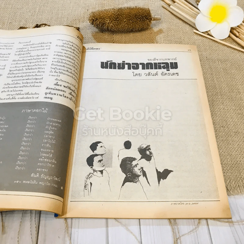 ฟ้าเมืองทอง ฉบับที่ 83 ก.พ.2526 รูปที่ 18