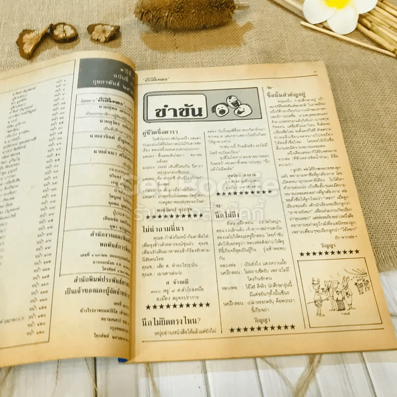 ฟ้าเมืองทอง ฉบับที่ 83 ก.พ.2526 รูปที่ 7