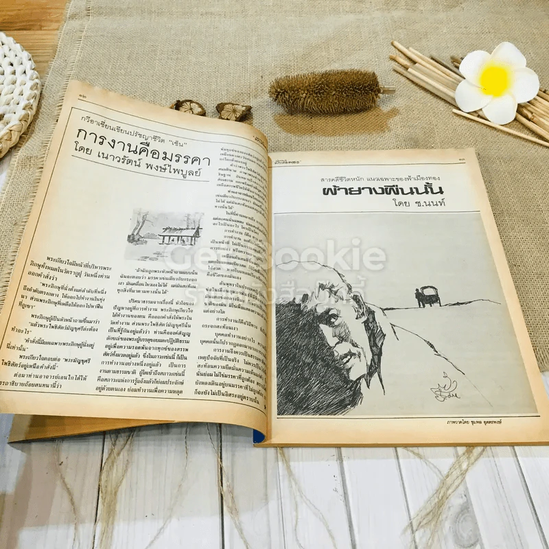 ฟ้าเมืองทอง ฉบับที่ 83 ก.พ.2526 รูปที่ 11