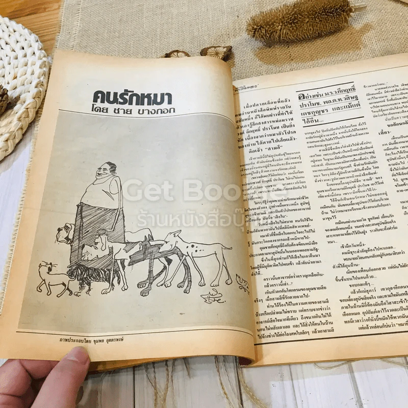 ฟ้าเมืองทอง ฉบับที่ 91 ต.ค.2526 รูปที่ 16