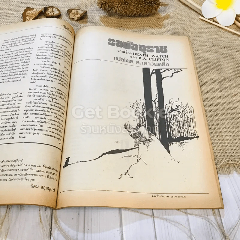 ฟ้าเมืองทอง ฉบับที่ 91 ต.ค.2526 รูปที่ 25
