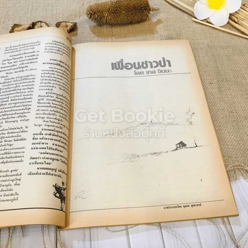 ฟ้าเมืองทอง ฉบับที่ 91 ต.ค.2526 รูปที่ 20