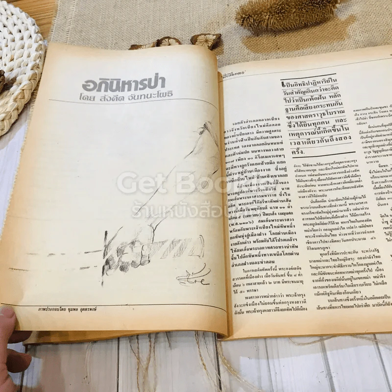 ฟ้าเมืองทอง ฉบับที่ 91 ต.ค.2526 รูปที่ 19