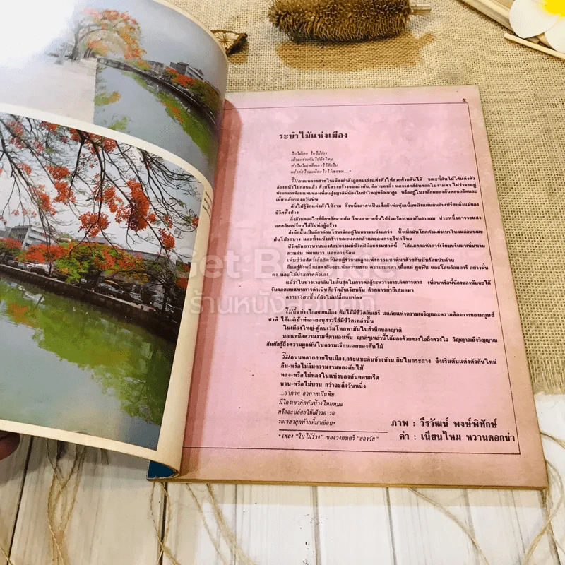 ฟ้าเมืองทอง ฉบับที่ 99 มิ.ย.2527 รูปที่ 5