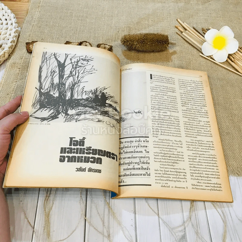 ฟ้าเมืองทอง ฉบับที่ 99 มิ.ย.2527 รูปที่ 16