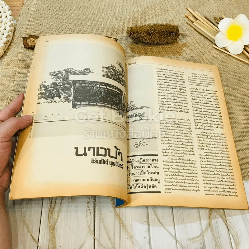 ฟ้าเมืองทอง ฉบับที่ 99 มิ.ย.2527 รูปที่ 24