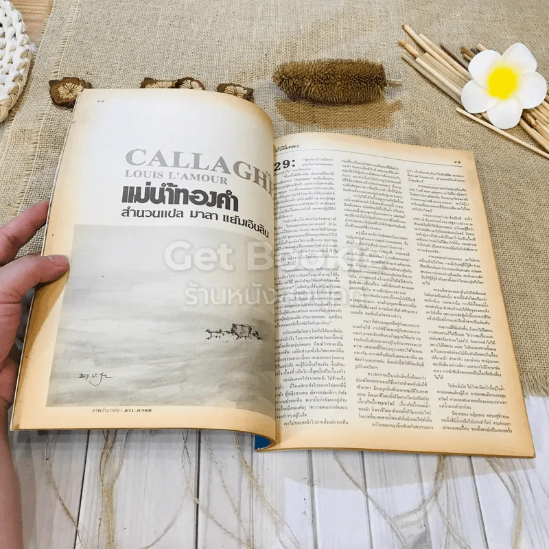 ฟ้าเมืองทอง ฉบับที่ 99 มิ.ย.2527 รูปที่ 17