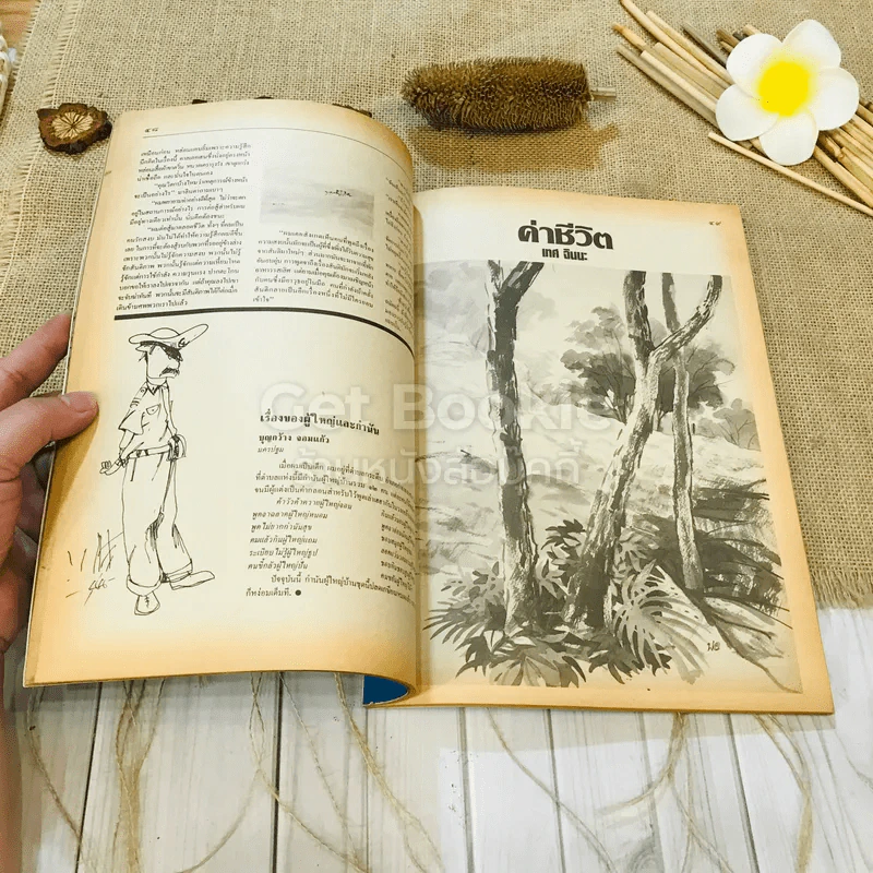 ฟ้าเมืองทอง ฉบับที่ 99 มิ.ย.2527 รูปที่ 18
