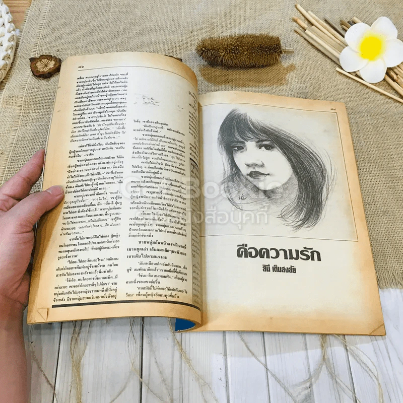 ฟ้าเมืองทอง ฉบับที่ 99 มิ.ย.2527 รูปที่ 26