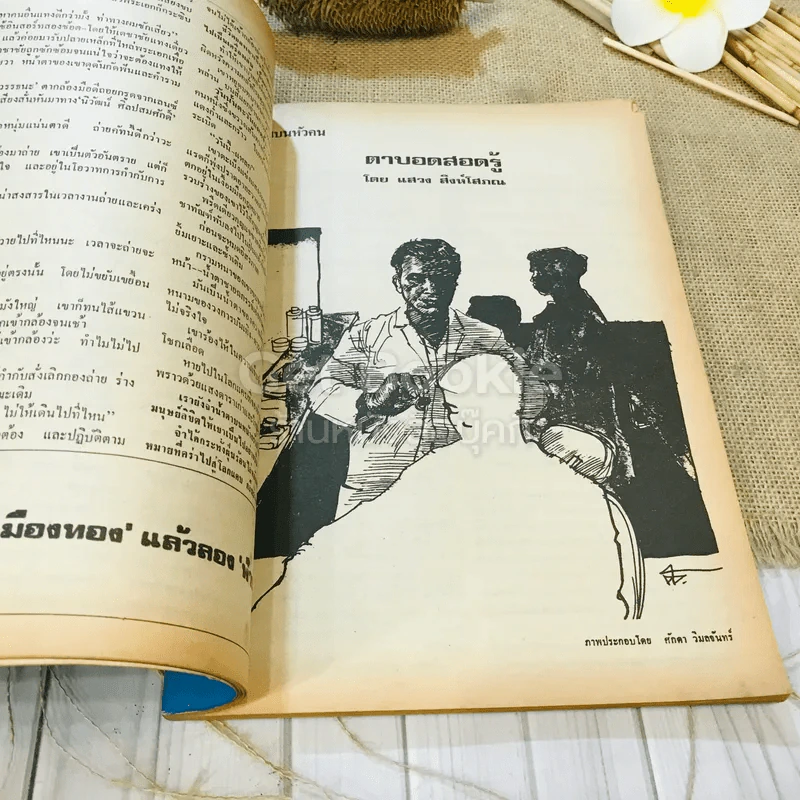 ฟ้าเมืองทอง ฉบับที่ 24 มี.ค.2521 รูปที่ 17