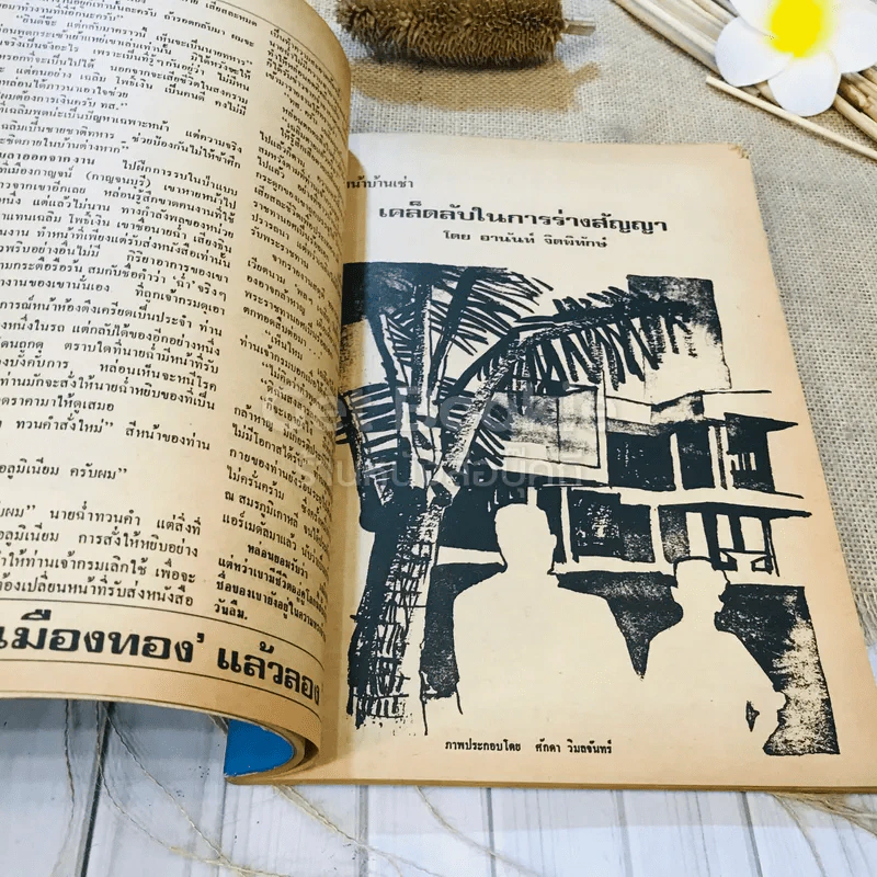 ฟ้าเมืองทอง ฉบับที่ 24 มี.ค.2521 รูปที่ 18
