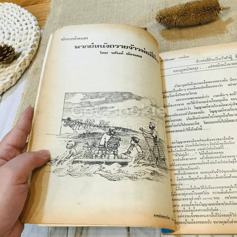 ฟ้าเมืองทอง ฉบับที่ 24 มี.ค.2521 รูปที่ 13