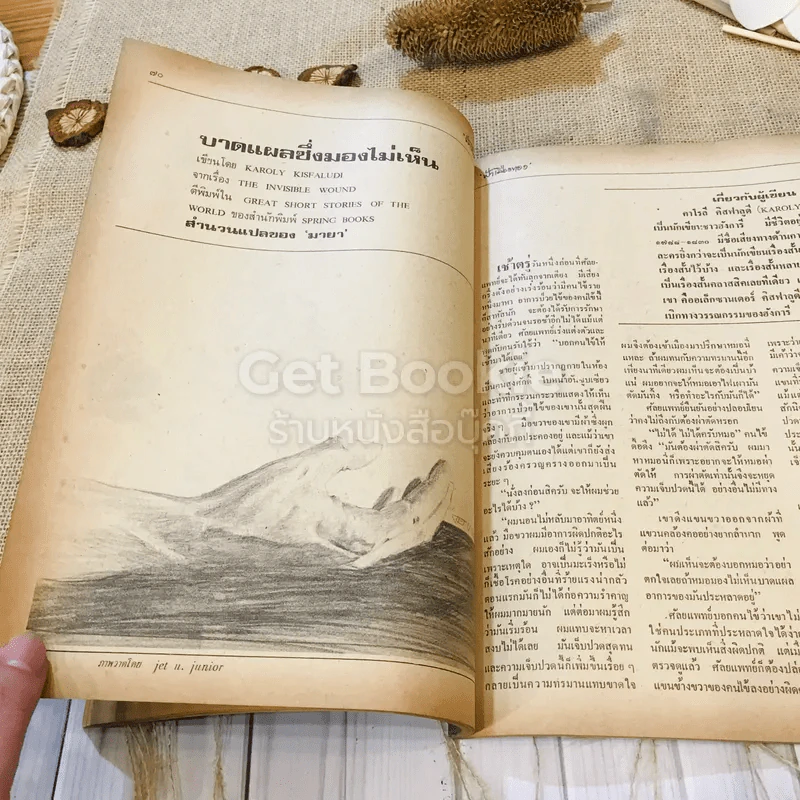 ฟ้าเมืองทอง ฉบับที่ 75 มิ.ย.2525 รูปที่ 24