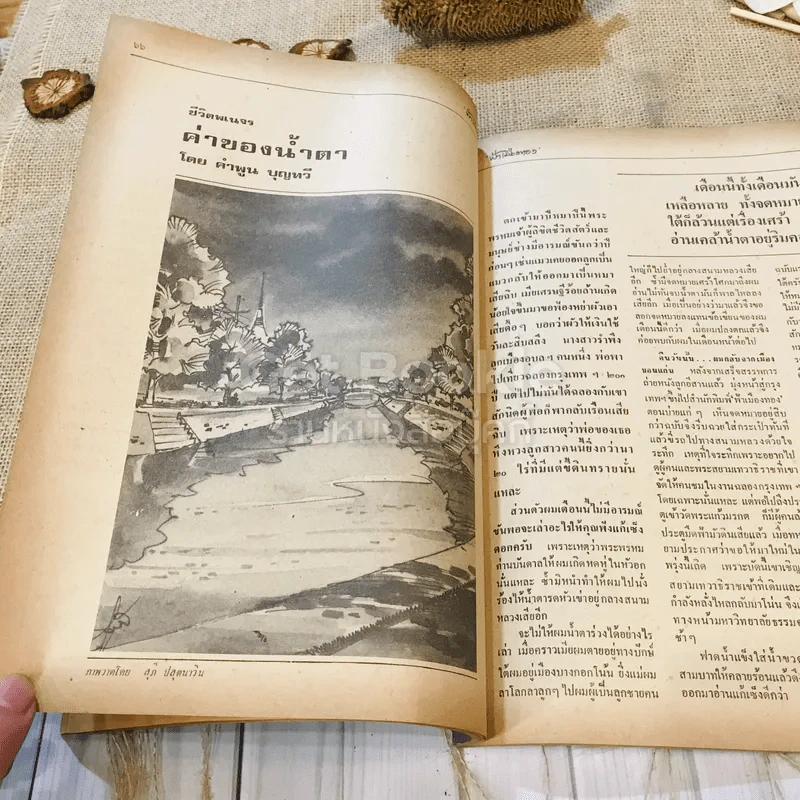 ฟ้าเมืองทอง ฉบับที่ 75 มิ.ย.2525 รูปที่ 23